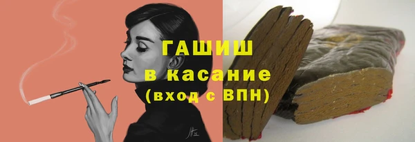 прущие грибы Болотное