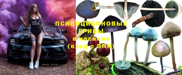 гашишное масло Новодвинск