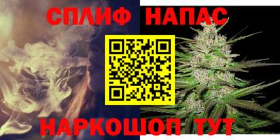 МДПВ Гусев
