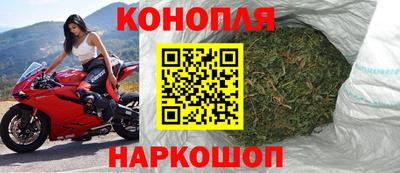 шишки Гусиноозёрск