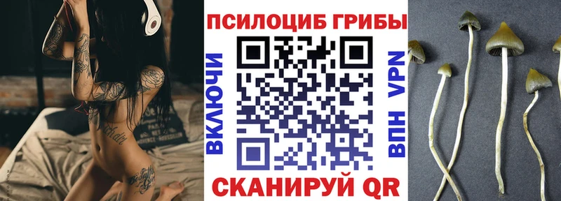гидра рабочий сайт  Куйбышев  Галлюциногенные грибы мухоморы 