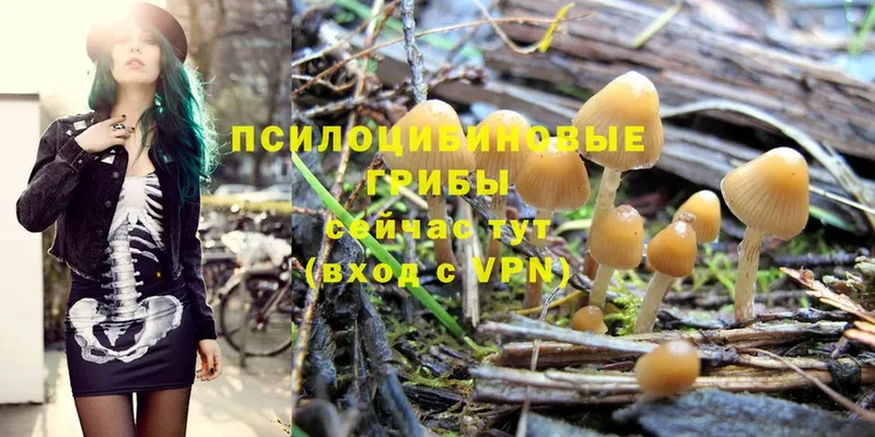 Галлюциногенные грибы MAGIC MUSHROOMS  Куйбышев 