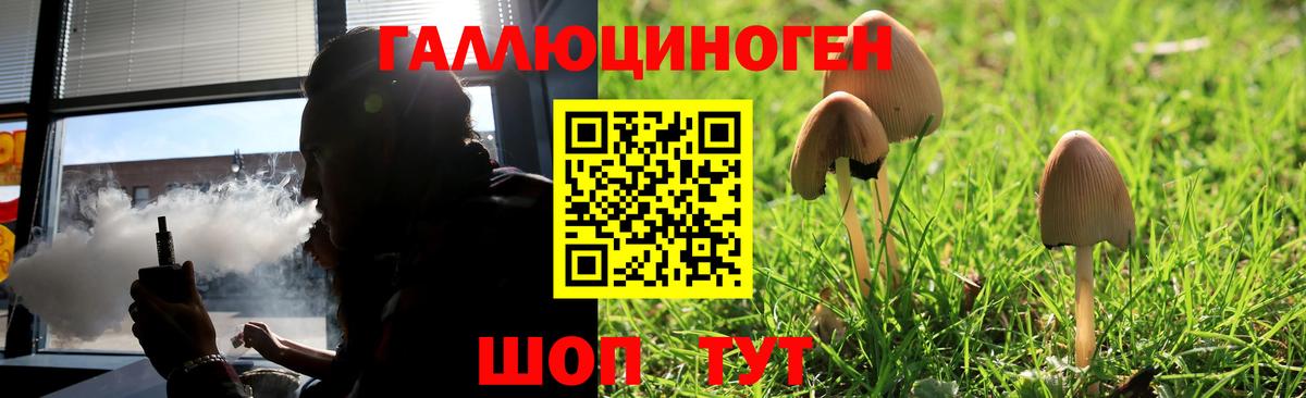 Псилоцибиновые грибы мицелий  Галлюциногенные грибы мицелий  Вход с VPN  Куйбышев 